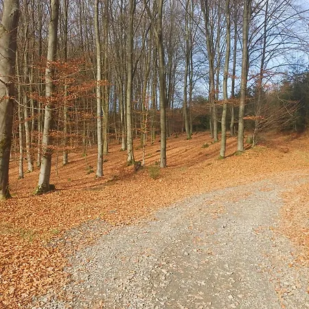 Penzion Haus Hermes 3*