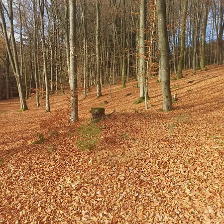 Penzion Haus Hermes Kirchhundem