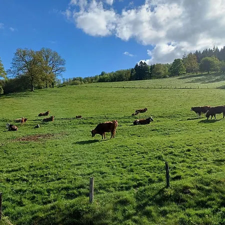 Haus Hermes Penzion Kirchhundem