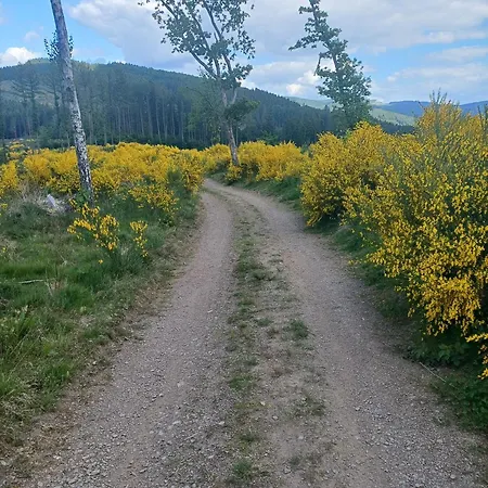 Penzion Haus Hermes Kirchhundem