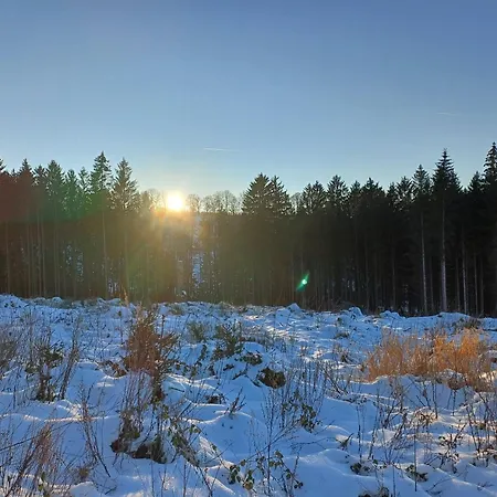 Haus Hermes Guest house 3*