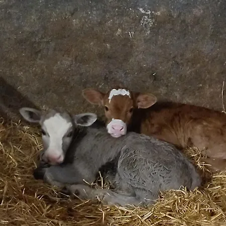 Guest house Haus Hermes Kirchhundem