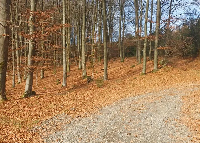 Guest house Haus Hermes 3*