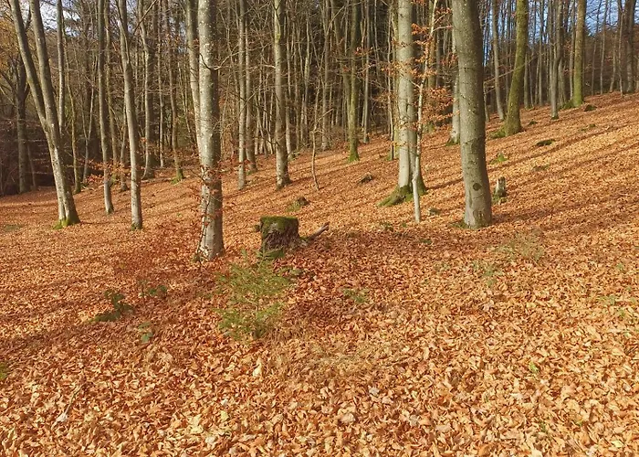 Guest house Haus Hermes Kirchhundem