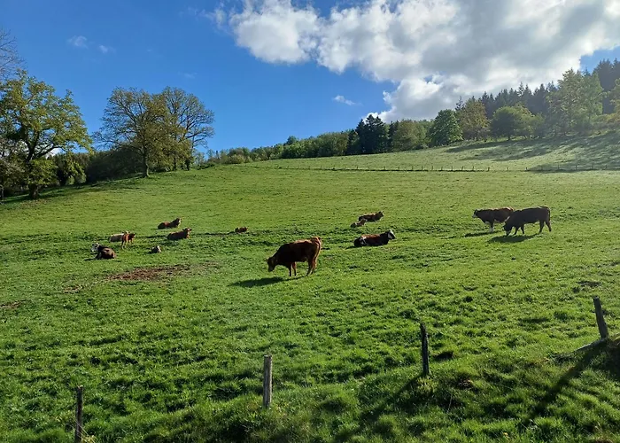 Haus Hermes Maison d'hôtes Kirchhundem