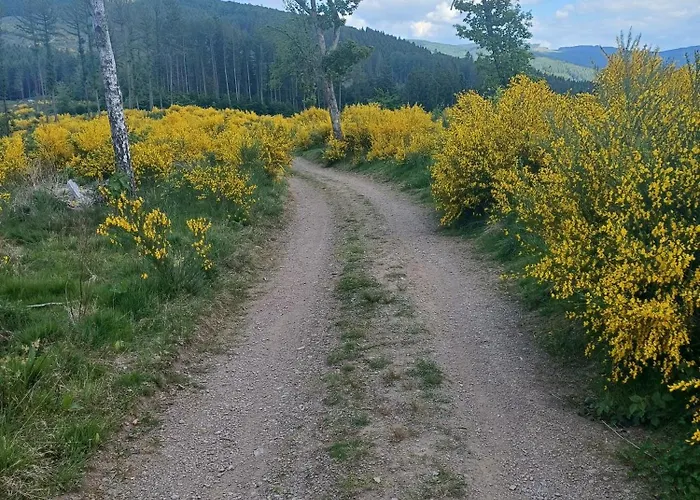Maison d'hôtes Haus Hermes Kirchhundem